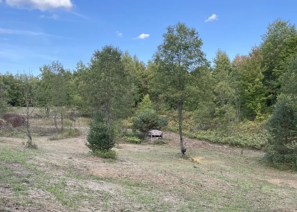 00 V/l Peterson Road Custer Township MI 49659