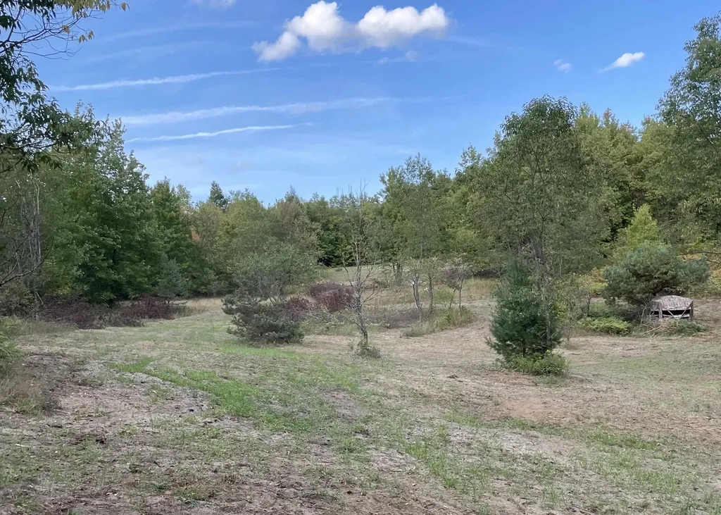 00 V/l Peterson Road Custer Township MI 49659