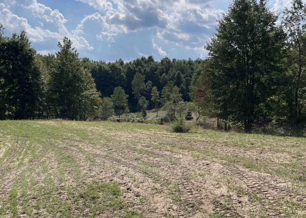 00 V/l Peterson Road Custer Township MI 49659