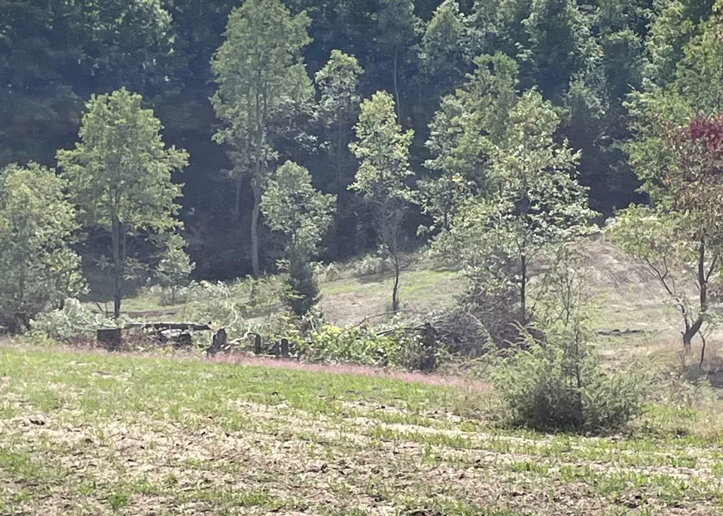 00 V/l Peterson Road Custer Township MI 49659