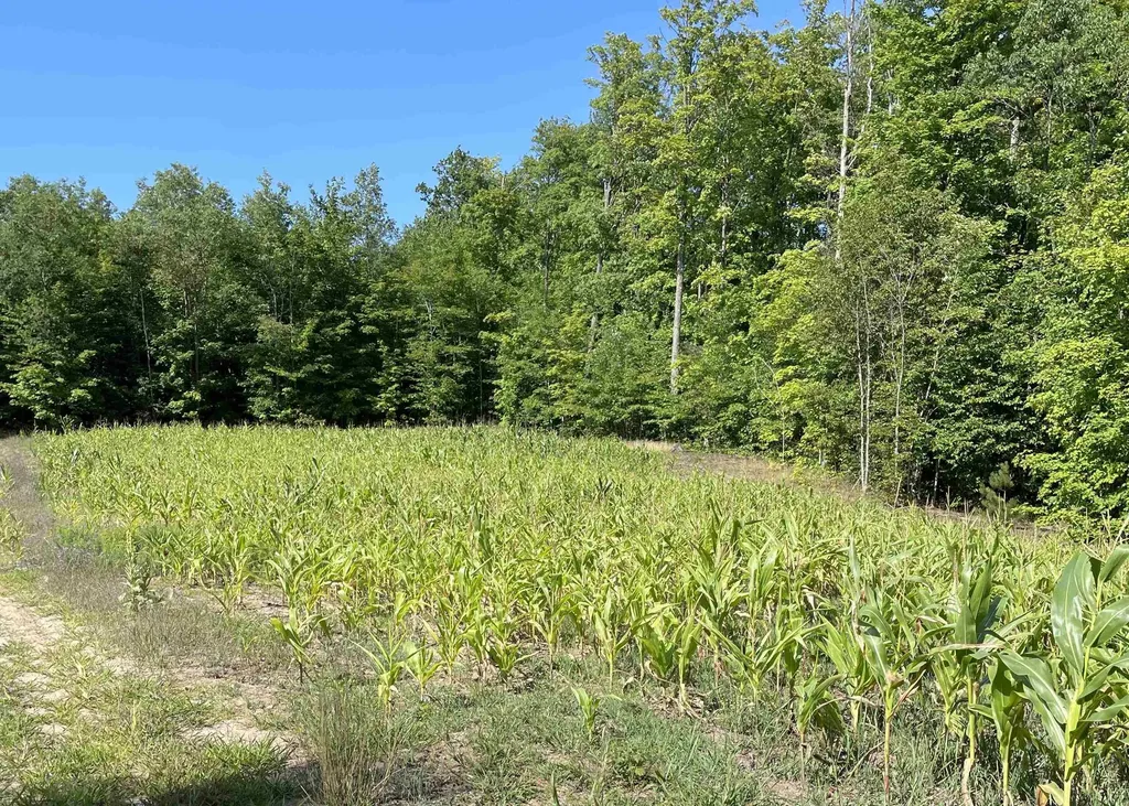 00 V/l Peterson Road Custer Township MI 49659