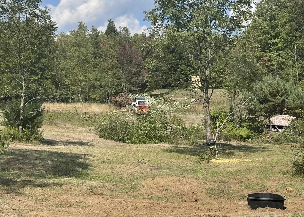 00 V/l Peterson Road Custer Township MI 49659