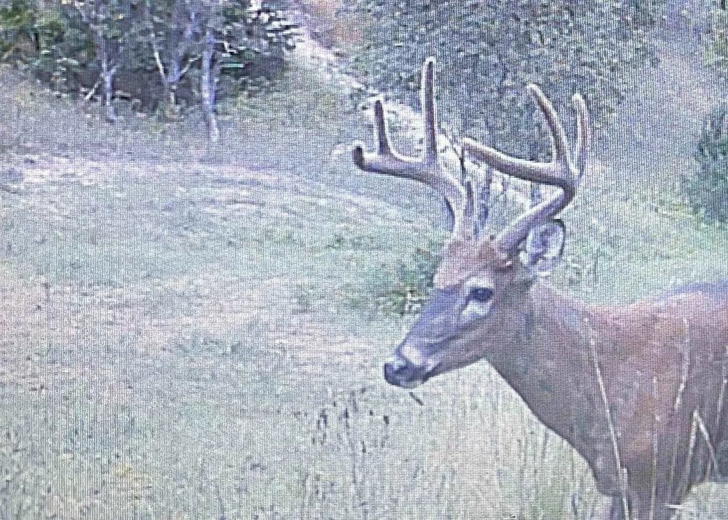 00 V/l Peterson Road Custer Township MI 49659