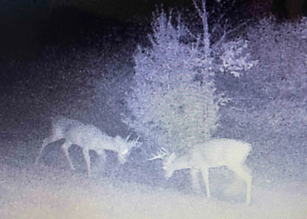 00 V/l Peterson Road Custer Township MI 49659