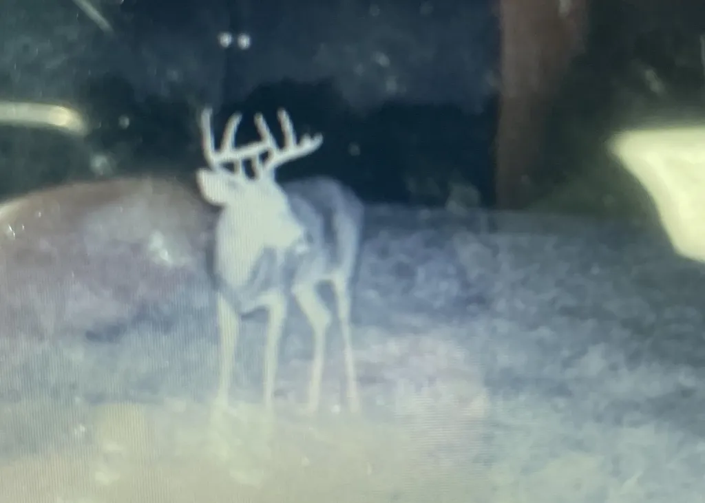 00 V/l Peterson Road Custer Township MI 49659