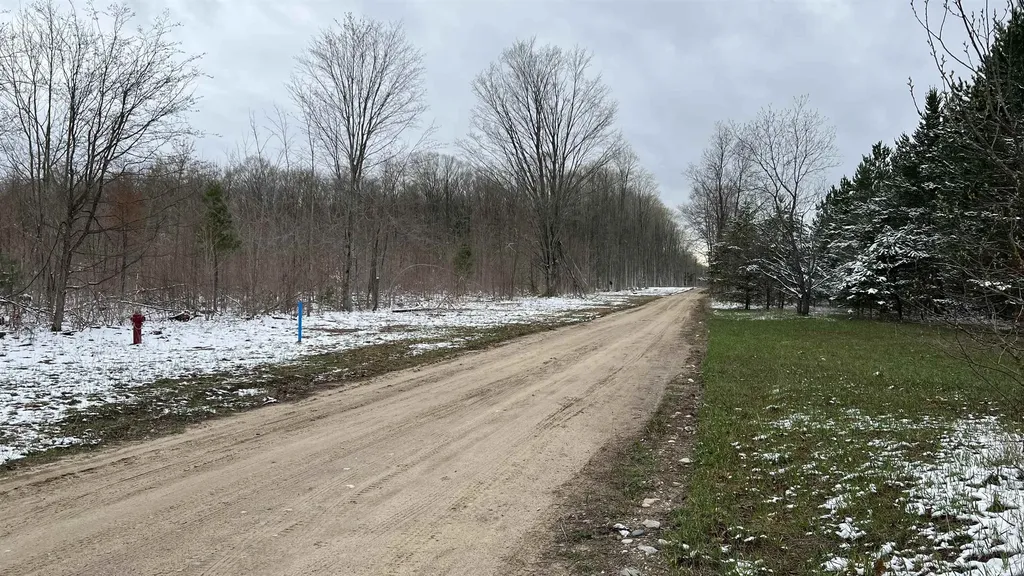 00 V/l Peterson Road Custer Township MI 49659