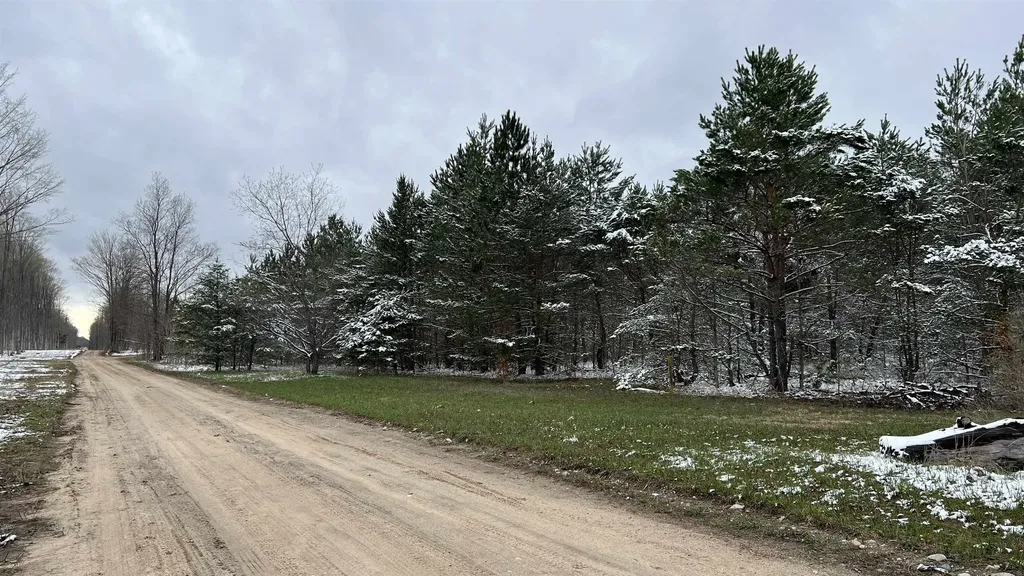 00 V/l Peterson Road Custer Township MI 49659