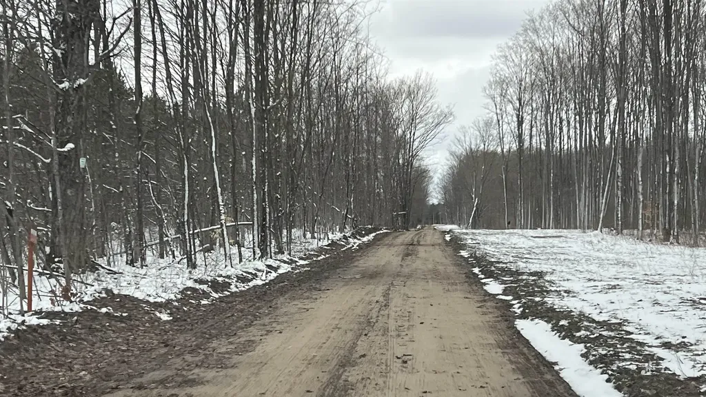 00 V/l Peterson Road Custer Township MI 49659