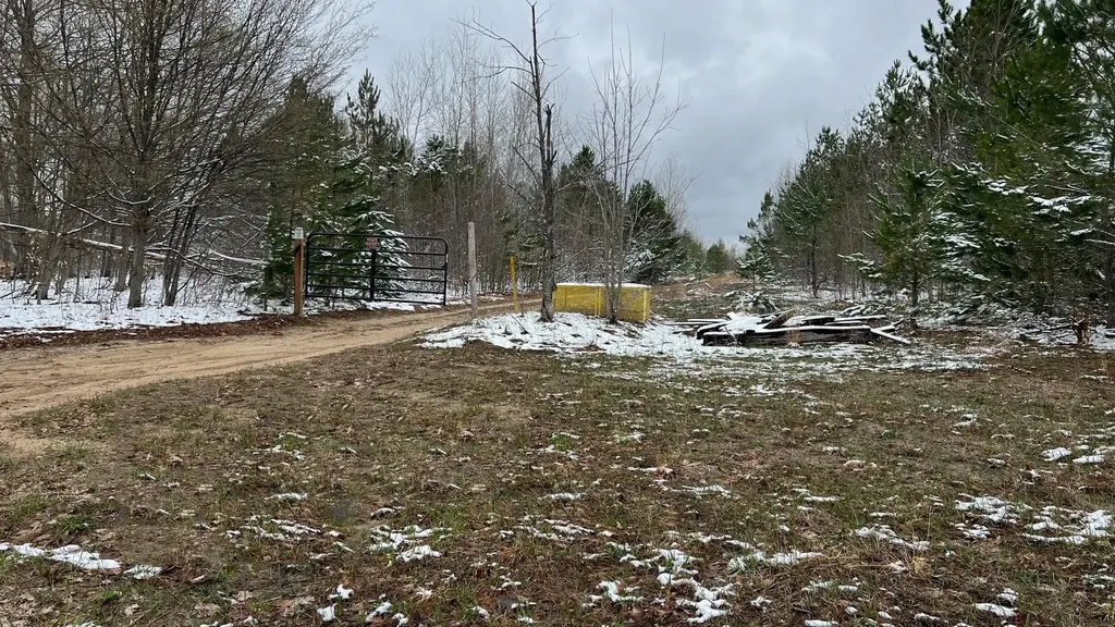 00 V/l Peterson Road Custer Township MI 49659