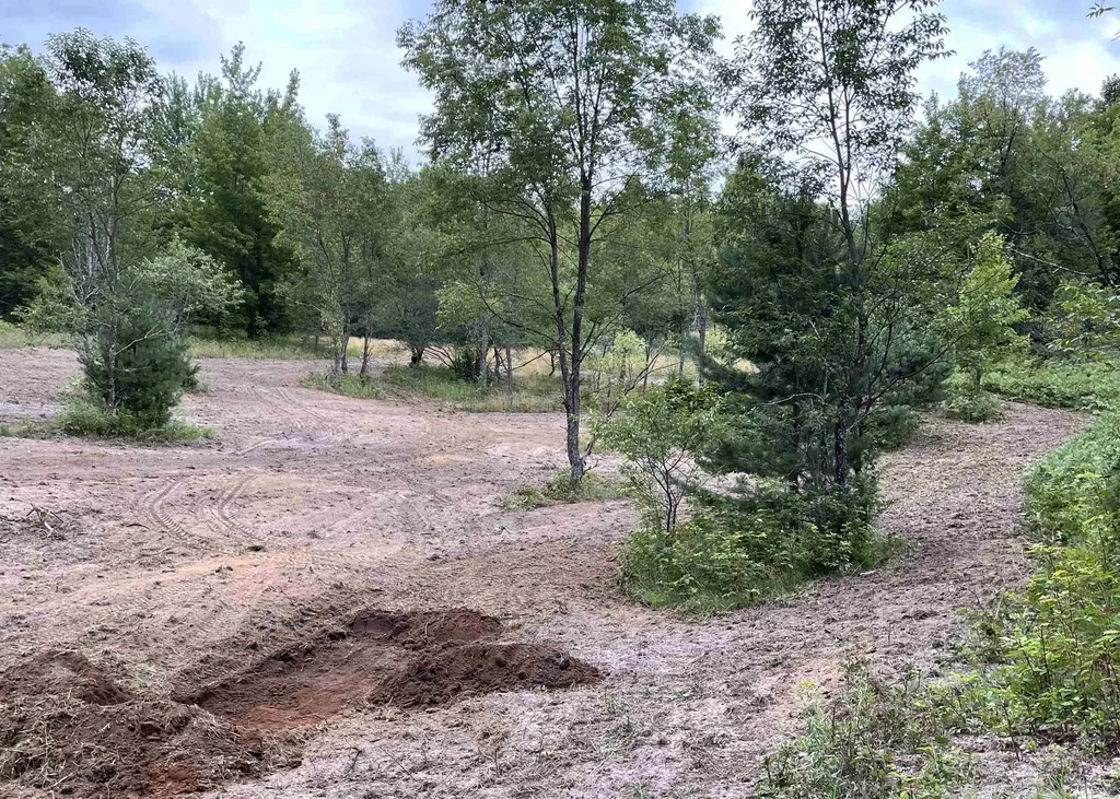 00 V/l Peterson Road Custer Township MI 49659
