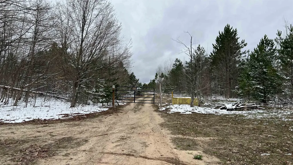 00 V/l Peterson Road Custer Township MI 49659