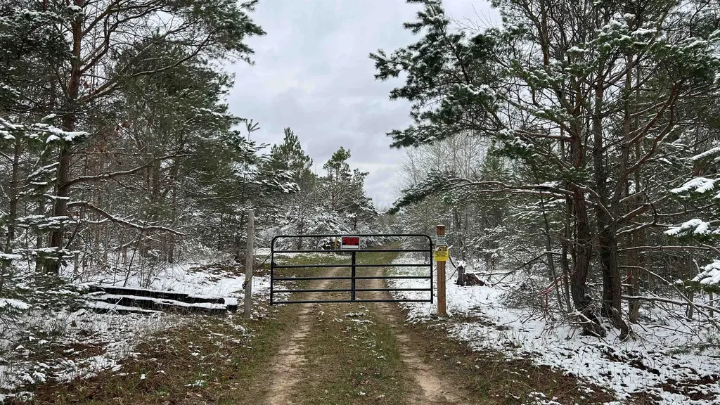 00 V/l Peterson Road Custer Township MI 49659