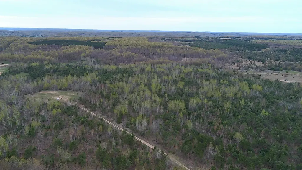 00 V/l Peterson Road Custer Township MI 49659