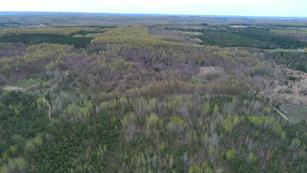 00 V/l Peterson Road Custer Township MI 49659