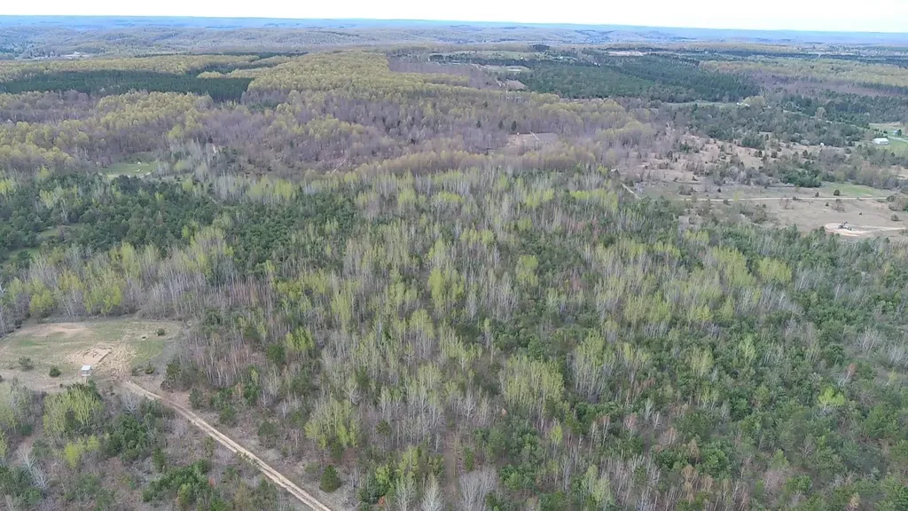 00 V/l Peterson Road Custer Township MI 49659