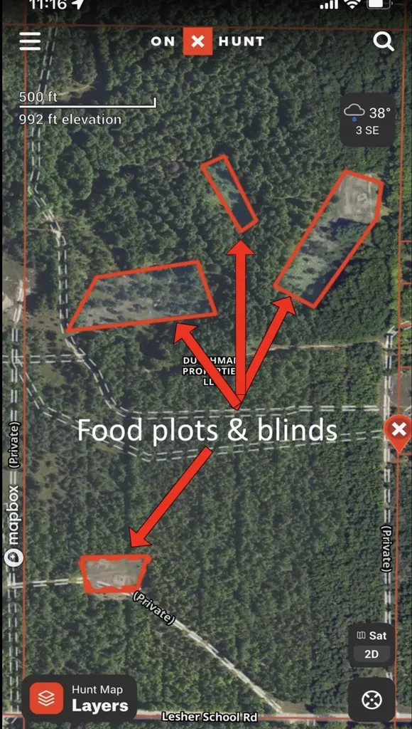 00 V/l Peterson Road Custer Township MI 49659