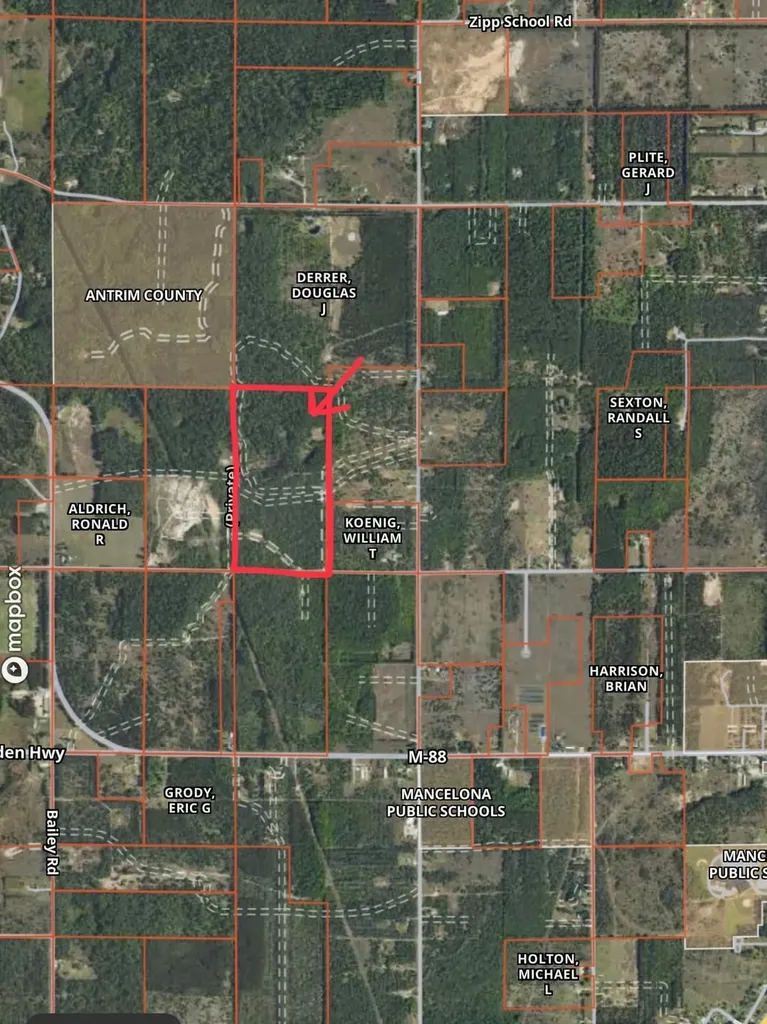 00 V/l Peterson Road Custer Township MI 49659