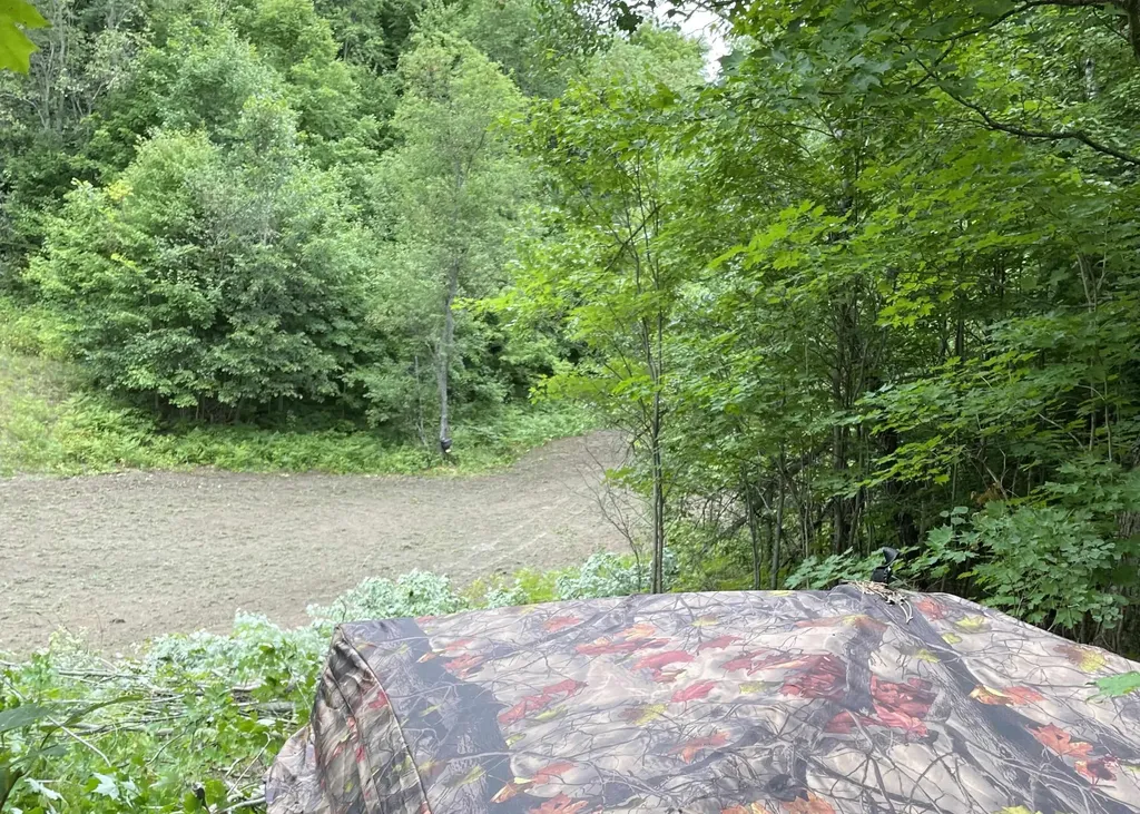 00 V/l Peterson Road Custer Township MI 49659