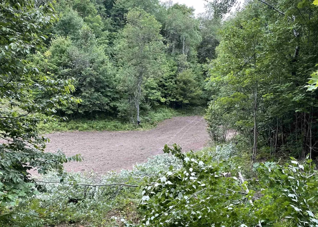 00 V/l Peterson Road Custer Township MI 49659