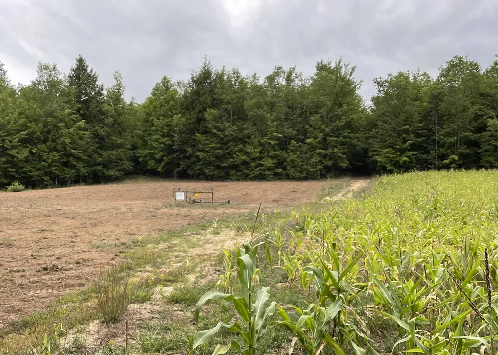 00 V/l Peterson Road Custer Township MI 49659