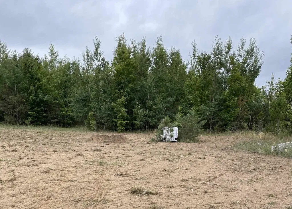 00 V/l Peterson Road Custer Township MI 49659