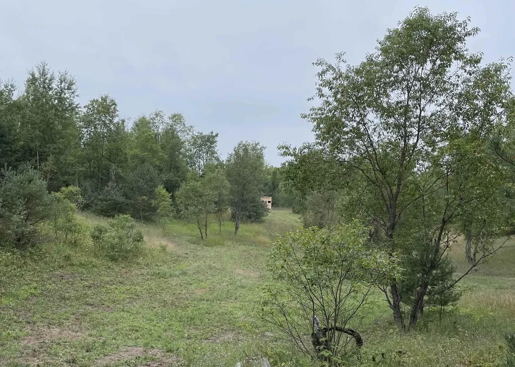 00 V/l Peterson Road Custer Township MI 49659
