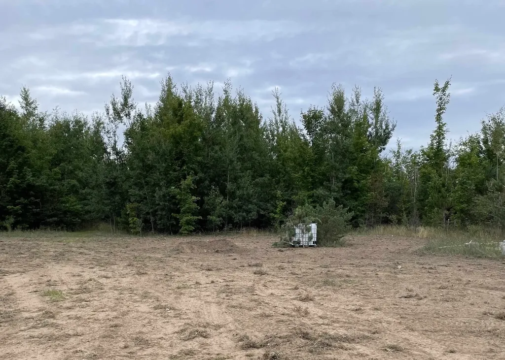 00 V/l Peterson Road Custer Township MI 49659