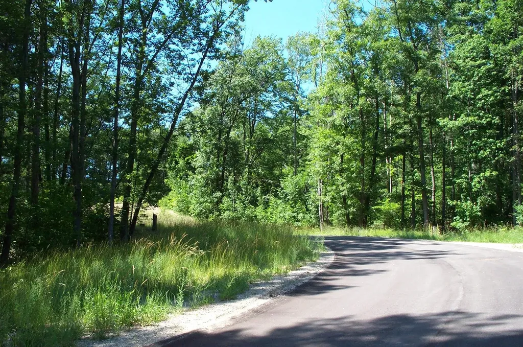 6342 Cedarmere Peninsula Township MI 49686