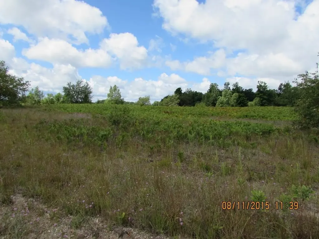 568 Grouse Drive Kalkaska Township MI 49646