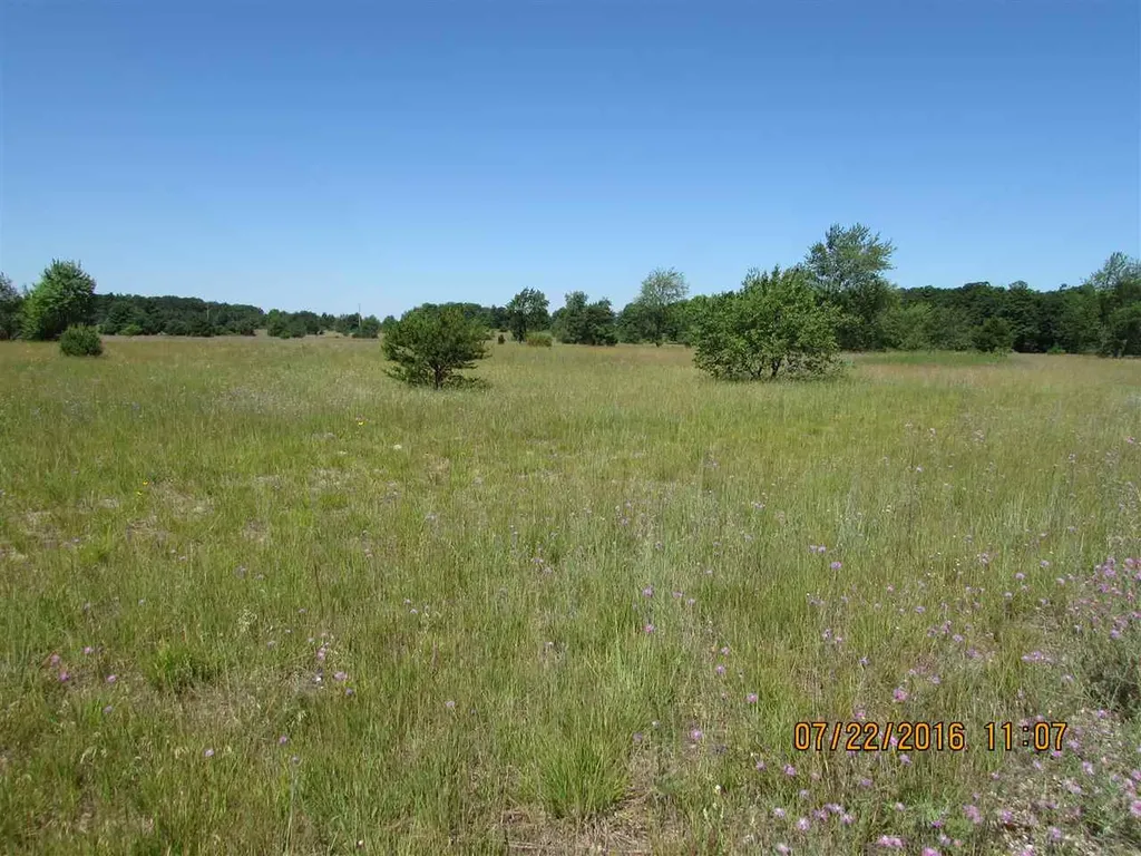 568 Grouse Drive Kalkaska Township MI 49646