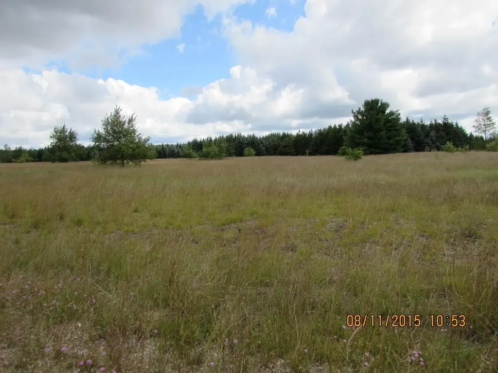 792 Grouse Drive Kalkaska Township MI 49646