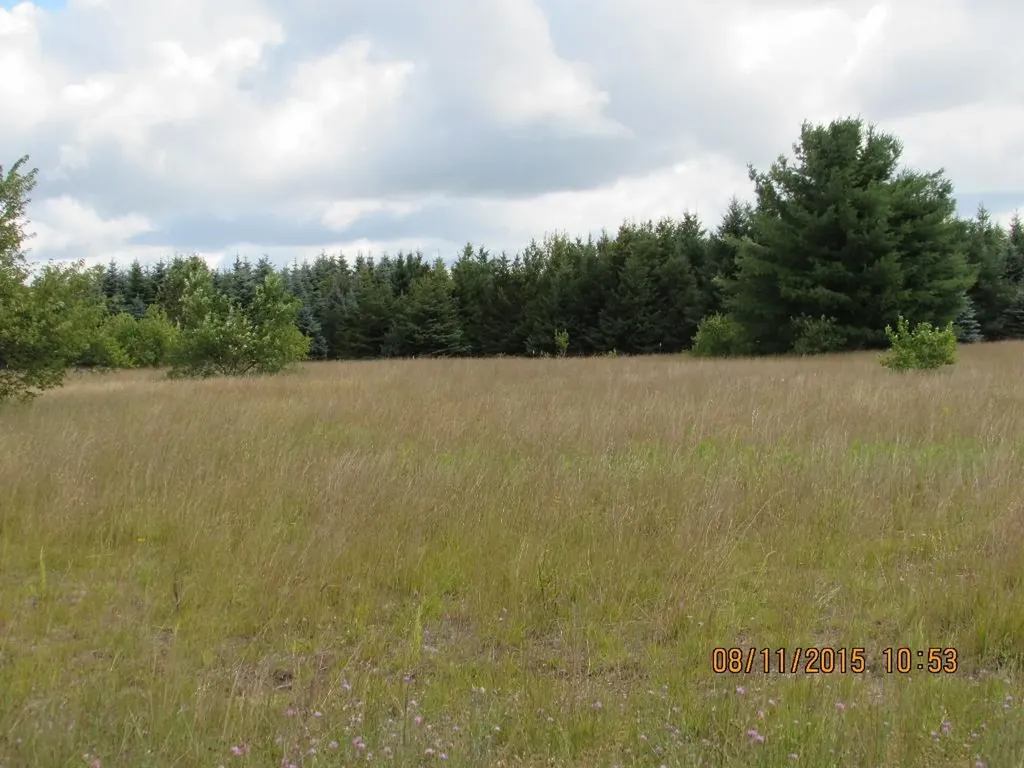 792 Grouse Drive Kalkaska Township MI 49646