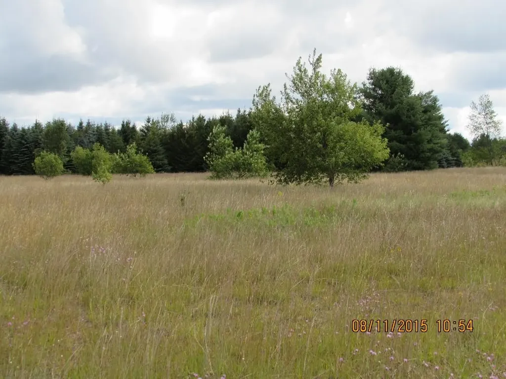 792 Grouse Drive Kalkaska Township MI 49646