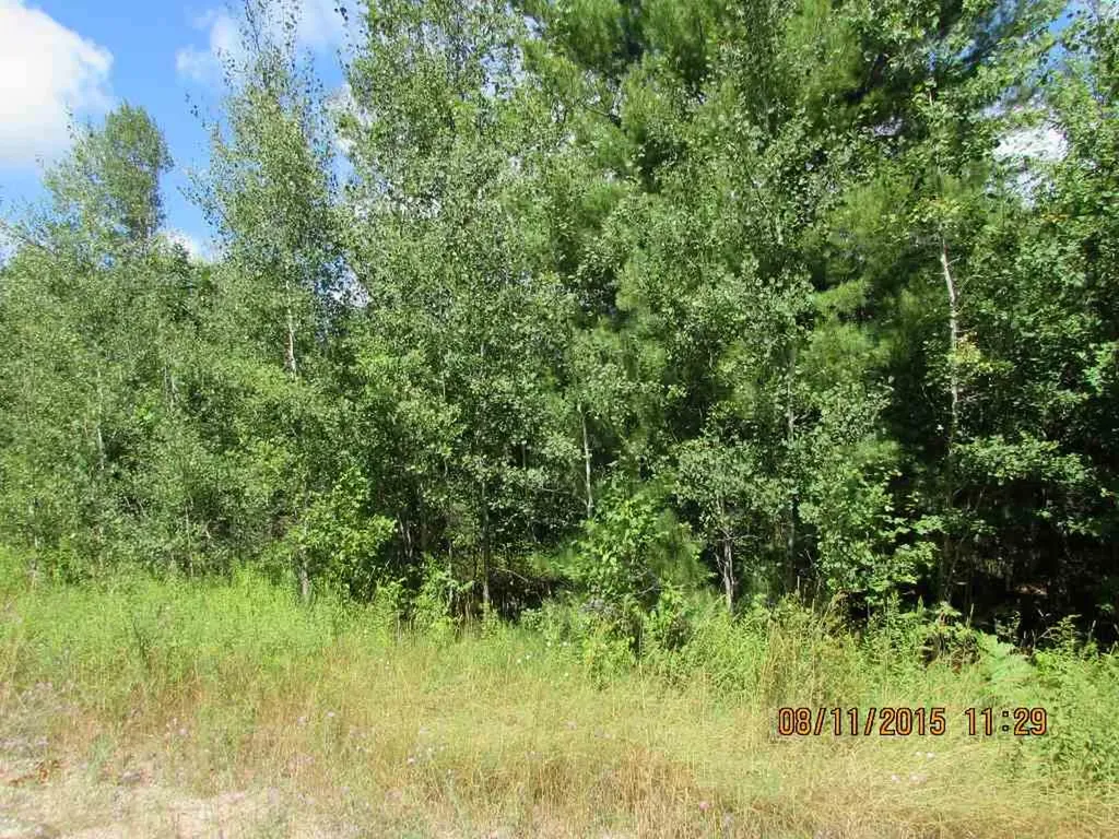802 Grouse Drive Kalkaska Township MI 49646