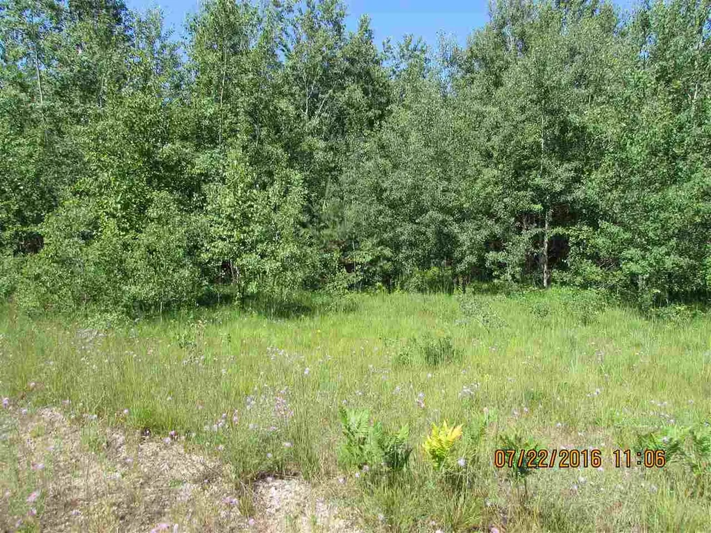 802 Grouse Drive Kalkaska Township MI 49646
