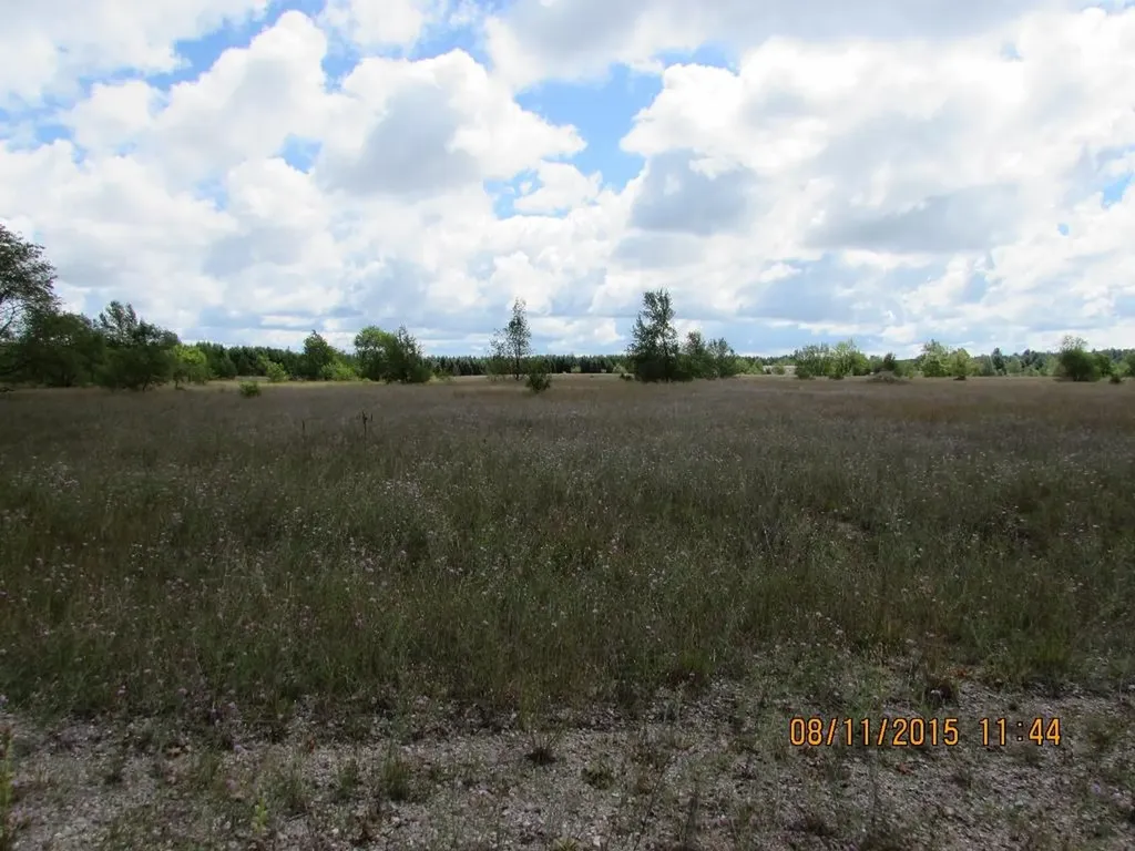 408 Grouse Drive Kalkaska Township MI 49646