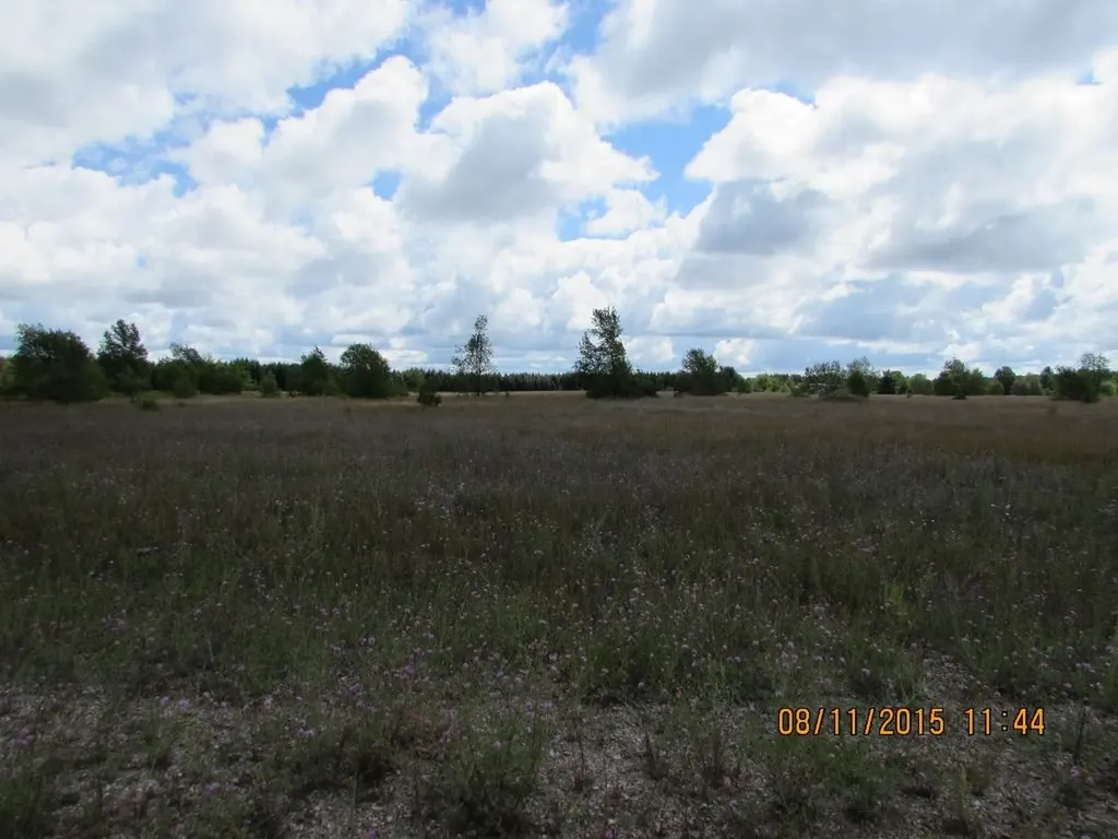 408 Grouse Drive Kalkaska Township MI 49646