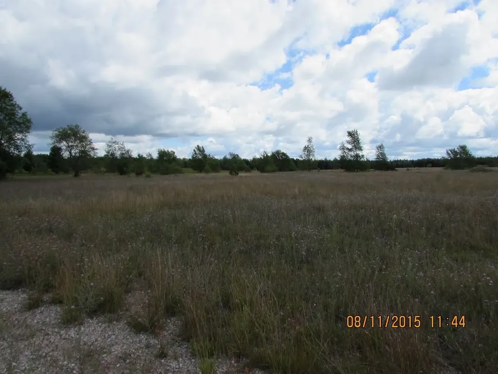 408 Grouse Drive Kalkaska Township MI 49646