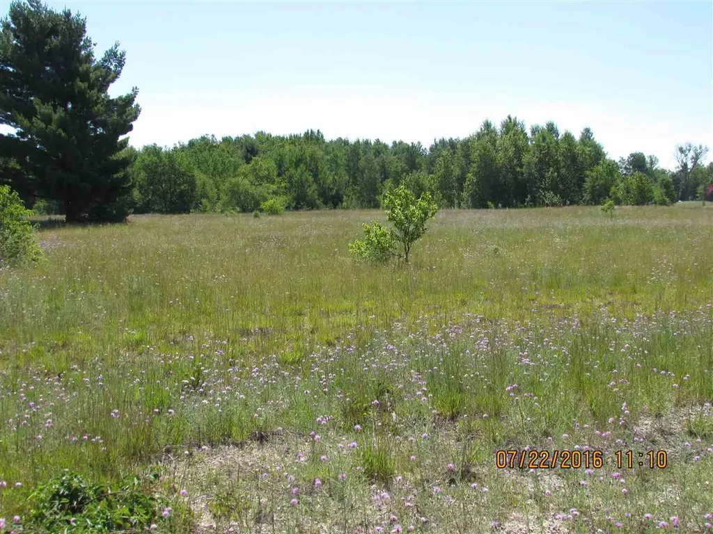 809 Grouse Drive Kalkaska Township MI 49646