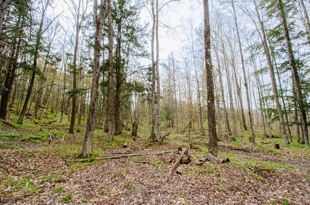 4839 Bunker Hill Road Echo Township MI 49622