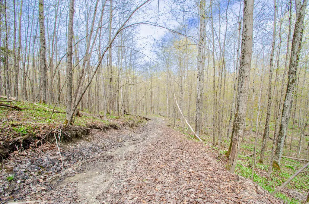 4839 Bunker Hill Road Echo Township MI 49622
