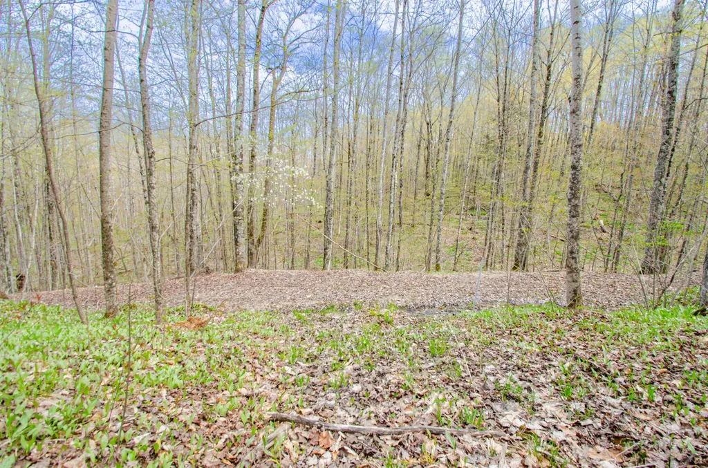 4839 Bunker Hill Road Echo Township MI 49622