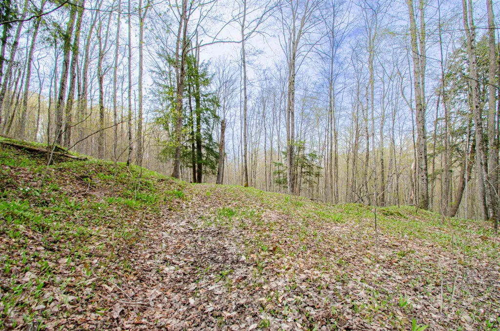 4839 Bunker Hill Road Echo Township MI 49622