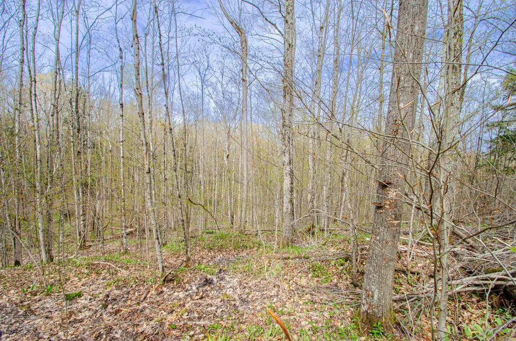 4839 Bunker Hill Road Echo Township MI 49622