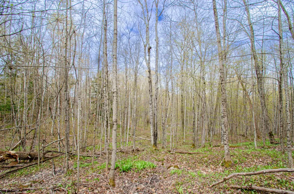 4839 Bunker Hill Road Echo Township MI 49622