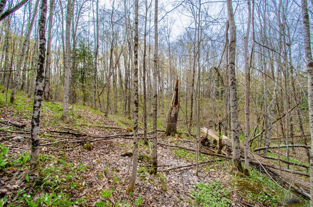 4839 Bunker Hill Road Echo Township MI 49622