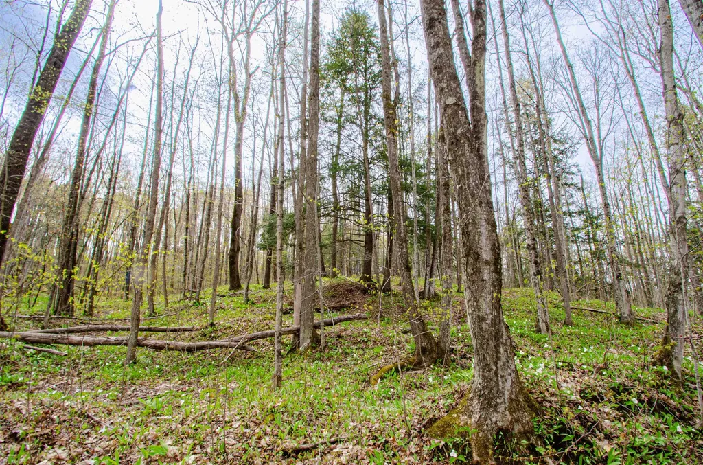 4839 Bunker Hill Road Echo Township MI 49622