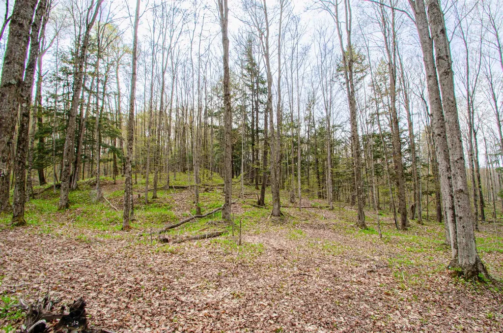 4839 Bunker Hill Road Echo Township MI 49622