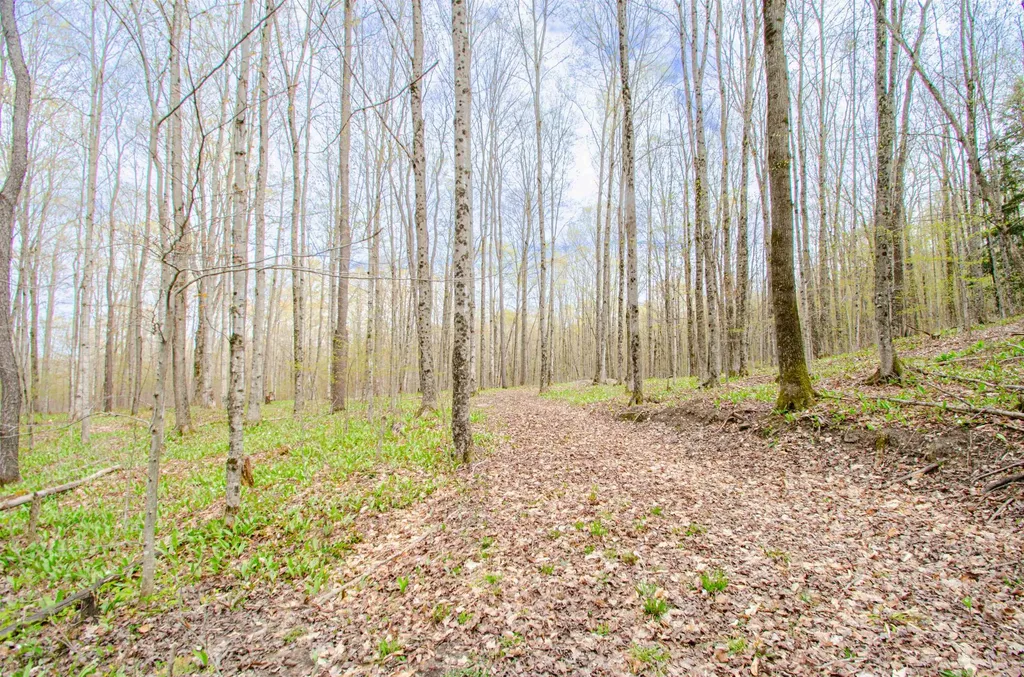 4839 Bunker Hill Road Echo Township MI 49622