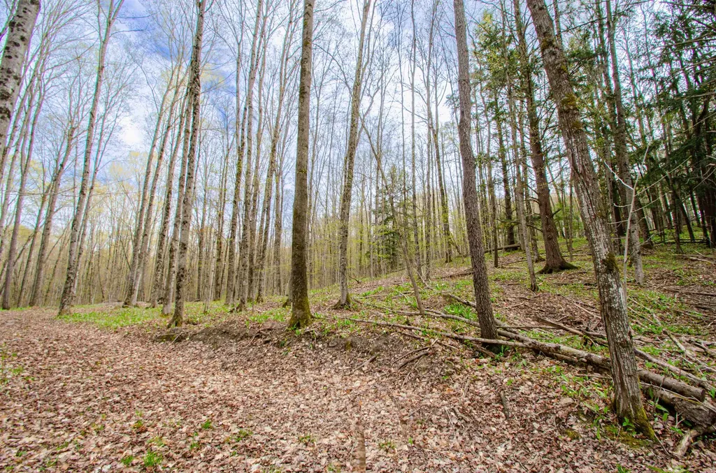 4839 Bunker Hill Road Echo Township MI 49622